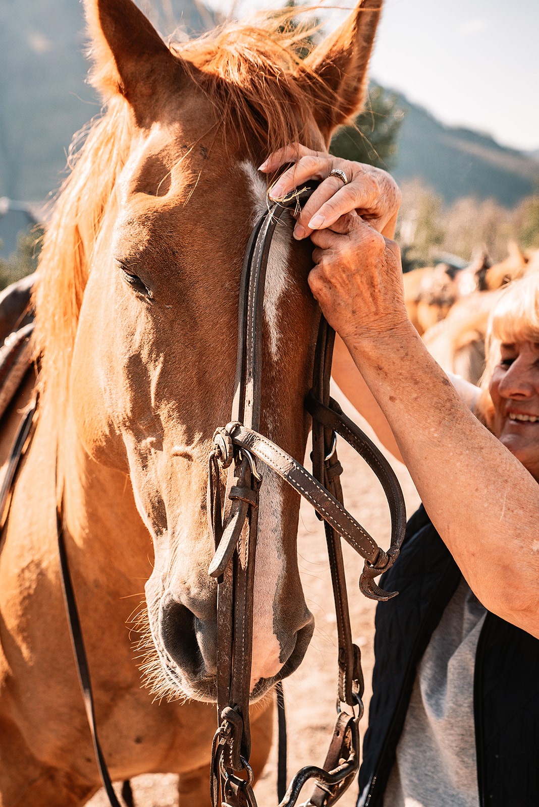 woman bridling a horse