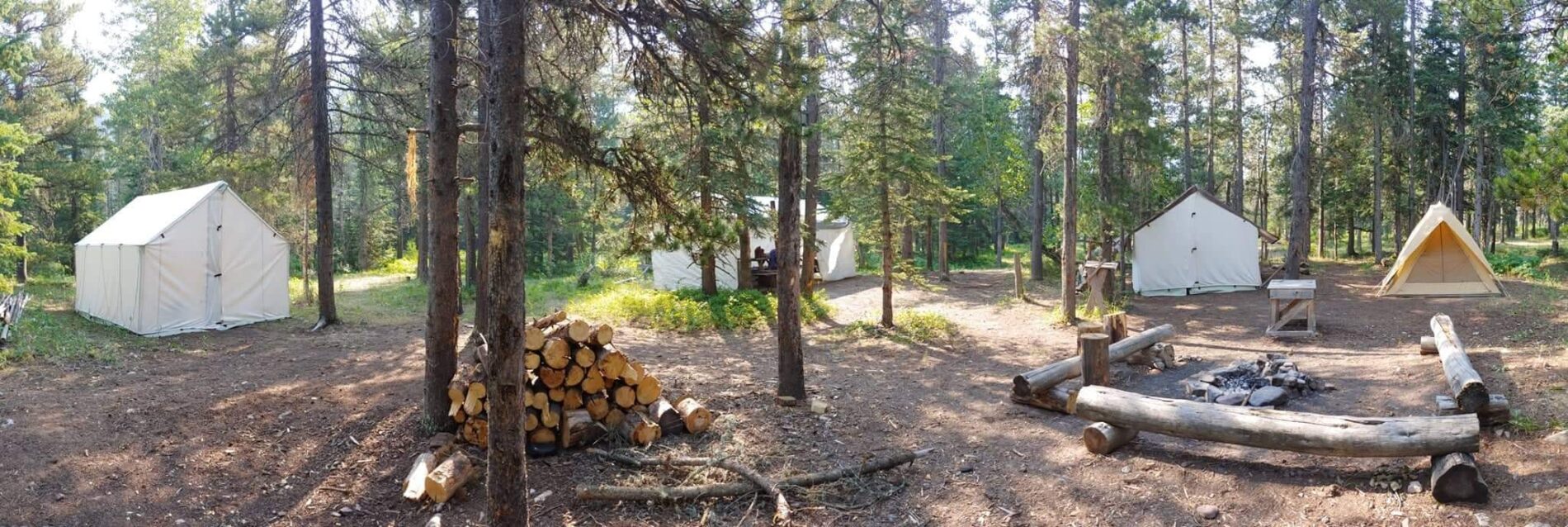 Blue Ridge Outfitters Horseback Riding & Pack Trips Alberta | Alpine