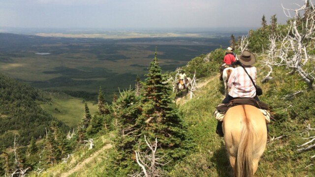 Descending into Oil Basin (day ride)