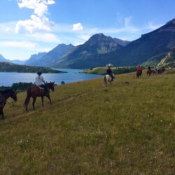horse riders on a grassy field