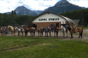Original Barn est. 1969 Original Barn
