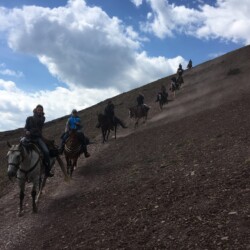 riders riding horses down a steep hill