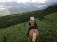 horse and rider on field trail
