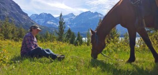 horse grazing in an open field