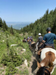 horse riding descending a trail