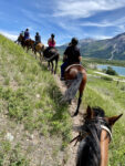 horse riders on a hill trail