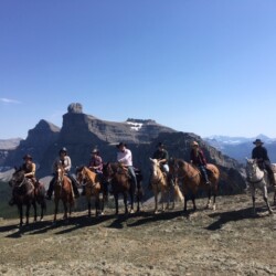 riders on horses looking over the mountains