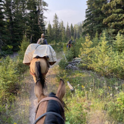 riding a trail from horseback rider's POV
